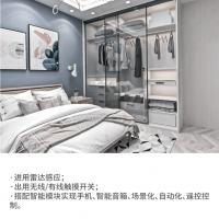 磁懸浮衣柜智能自動(dòng)門